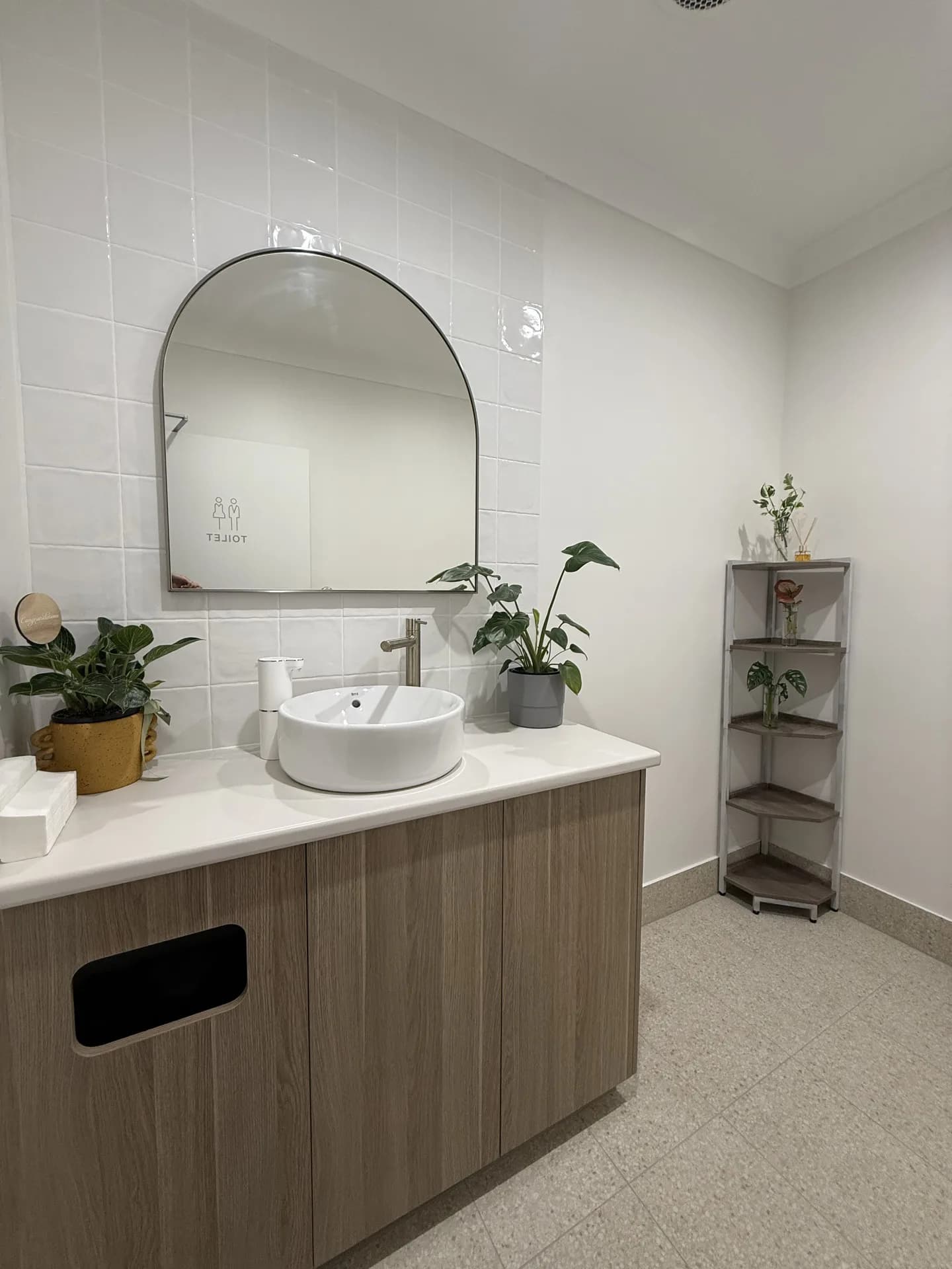 Restroom with mirror, basin and plants